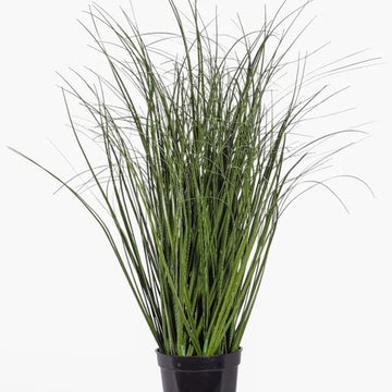 24" Potted Grass - UV Treated