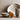 Acadia Dishware - Oyster