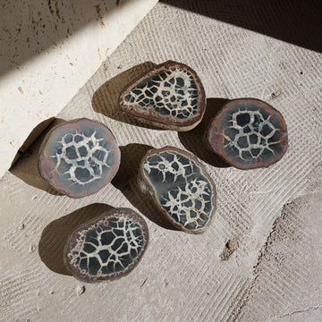 Septarian Geode Object - Black