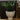 Sloan Planter with Plant
