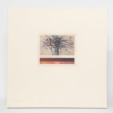 J. Hopper Art - Abstract Botanical - Medium Canvas