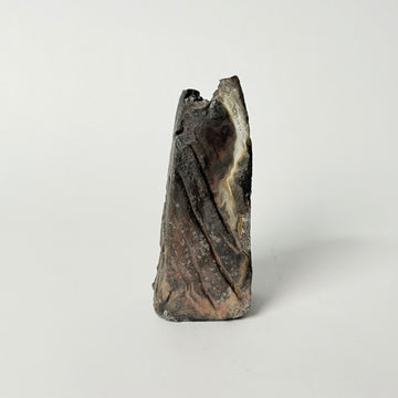 Earth Vase II
