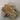 Fossil Coral Dishes - Brown