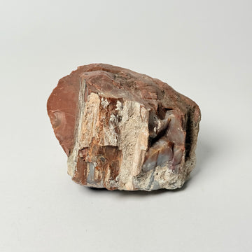 Petrified Wood Object - Red