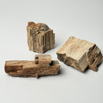 Petrified Wood Object - Sand