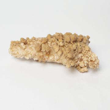 Textured Himalayan Stalagmite Sculptures