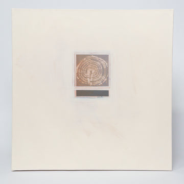 J. Hopper Art - Dendrochronology - Medium Canvas