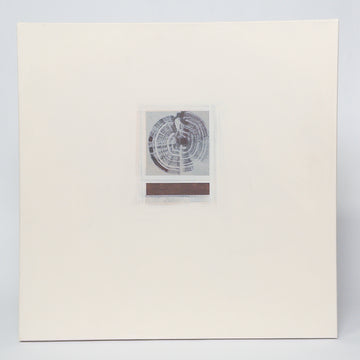 J. Hopper Art - Dendrochronology - Medium Canvas