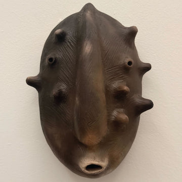 Patagonia Masks