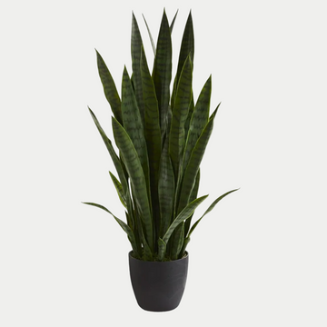 Artifical Snake Plant