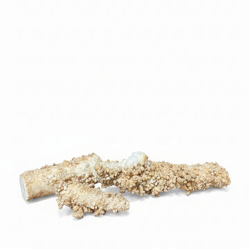 Textured Himalayan Stalagmite Sculptures