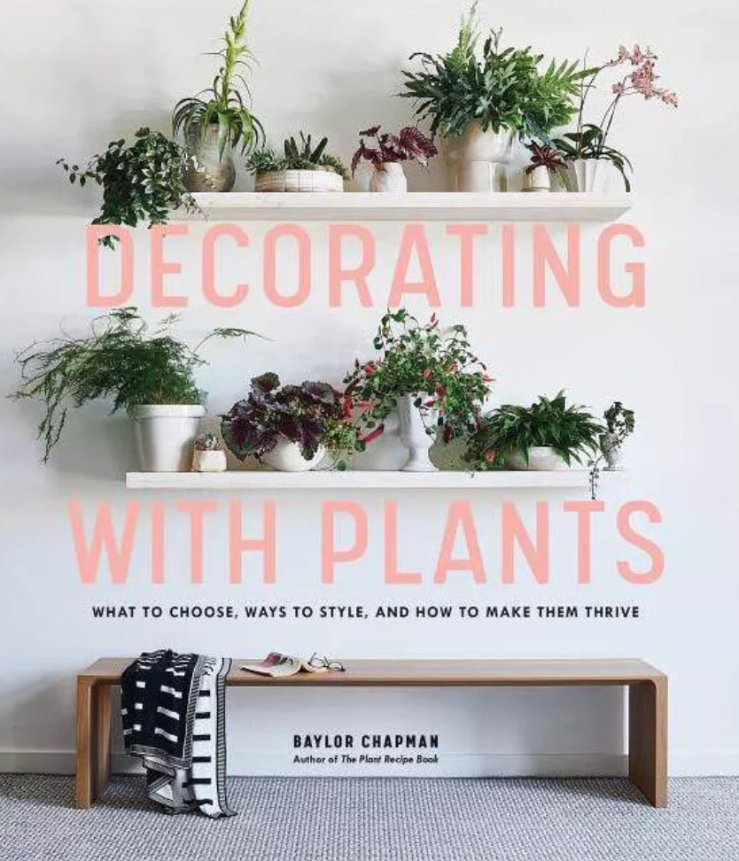 Decorating With Plants